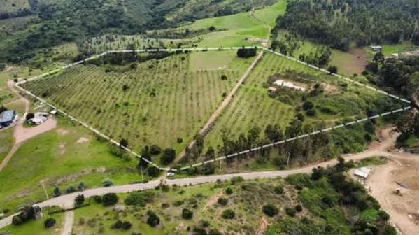 RUTA F 134 LOTE B