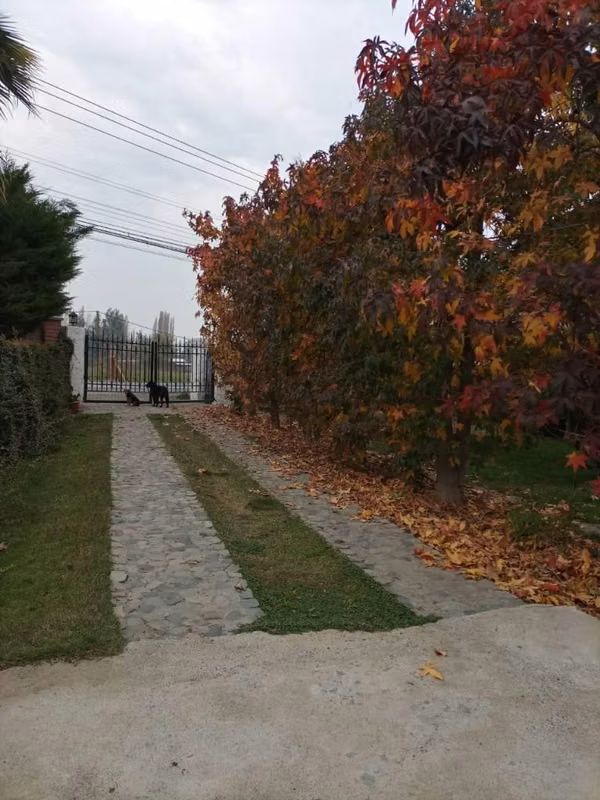Se vende Hermosa propiedad 1.225m2 c/casa 139m2, Doñihue