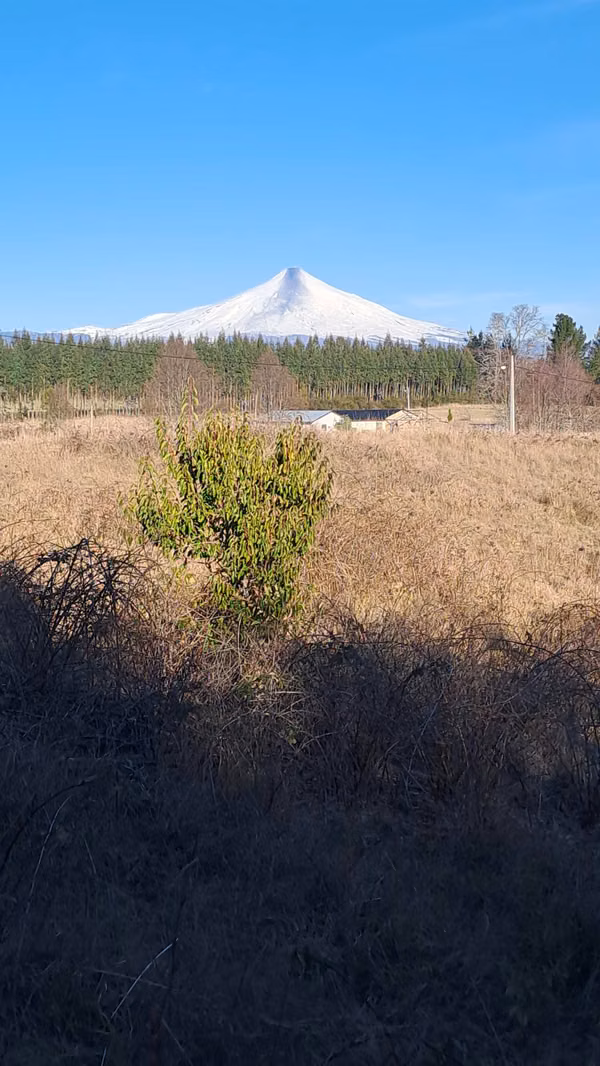 VENTA PARCELA 5000 m2, ROL PROPIO, PEDREGOSO, VILLARRICA