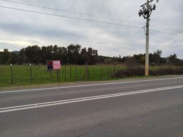 Peralillo 25.000 Mtrs a orilla carretera