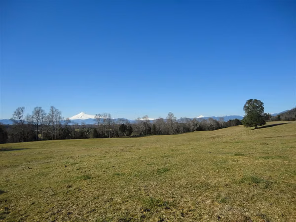 AGRICOLA Fundo "La Esperanza"