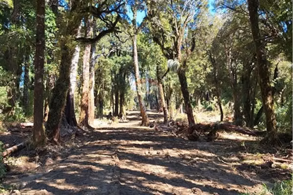 Oportunidad terreno / 2 ha. divididas en 4 lotes