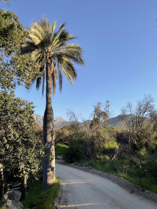 Parcela con hermoso estero, Oasis de La Campana Hijuelas