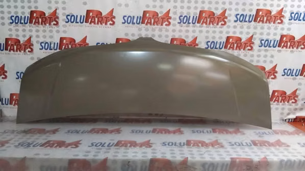 CAPOT PARA BRILLIANCE T52