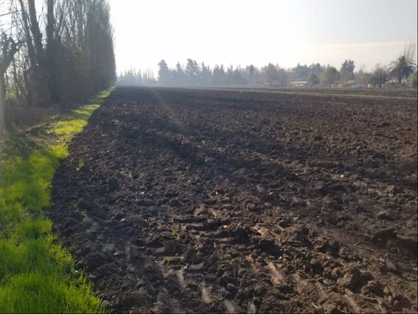 Venta Terreno Agricola Lampa - Opcion Derechos de Agua