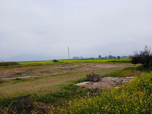 Venta Agrícola 20.000 m2 - Lampa