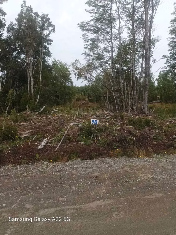 Venta parcela Quemchi (70886)