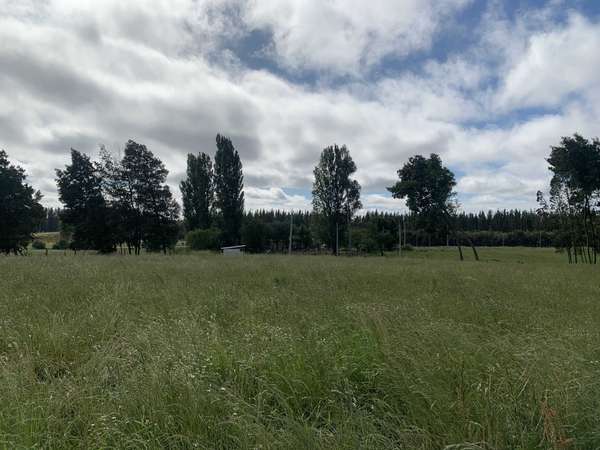 Venta Campo Orilla Ruta 5 (71935)