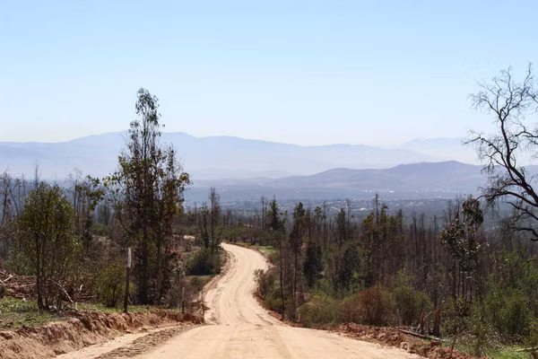 Parcela Agrado Villa Alemana 5000 m2 (74700)