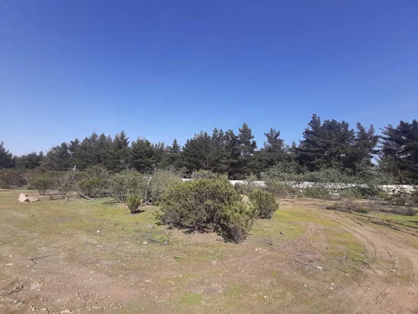 Oportunidad: Gran Terreno Industrial (74615)