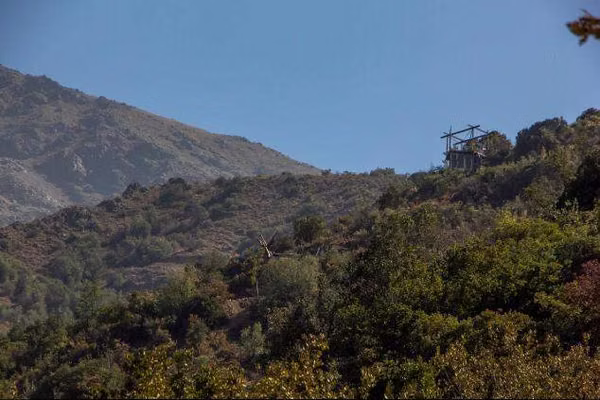 EL CANELO, CAMINO EL VOLCAN, (73886)