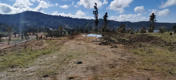Vendo parcela sector Paso Hondo Yumbel