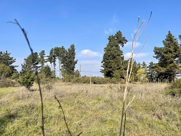 Parcela LOS PINOS DE REÑACA