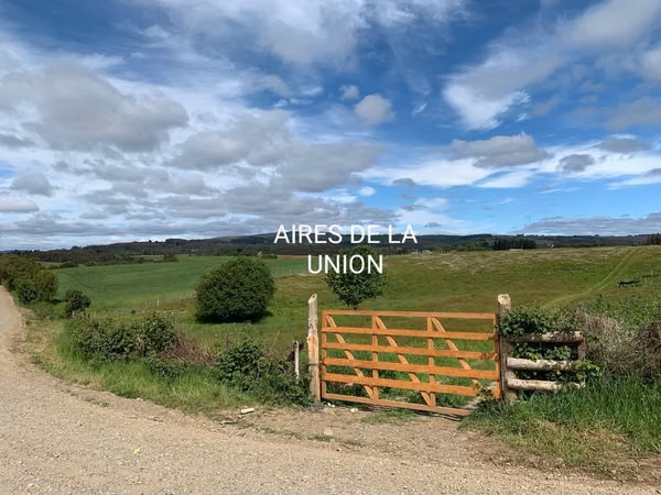 OPORTUNIDAD!! VENTA DE CAMPO 16,58 HA, PRECIO REBAJADO