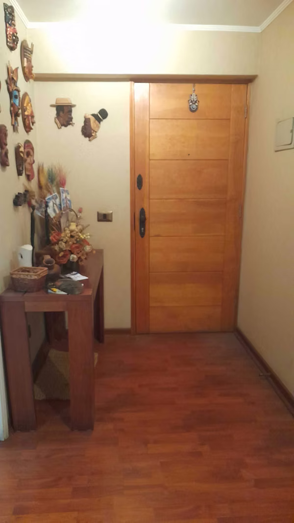 Amplio dpto en Santiago (92617)