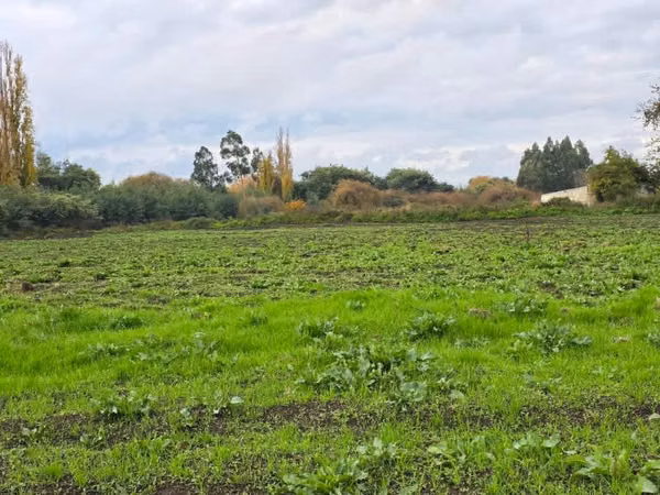 Vende Parcela en Los Ángeles sector Cantarrana.