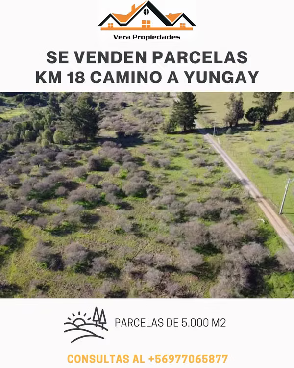 SE VENDEN 2 ULTIMAS PARCELAS CAMINO A YUNGAY KM 18 SECTOR EL ALAMO.
