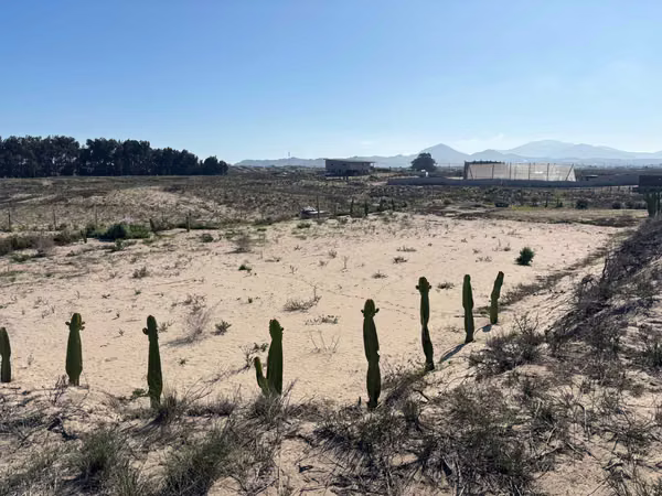 OPORTUNIDAD PARCELA VEGAS NORTE SERENA GOLF  (108119)