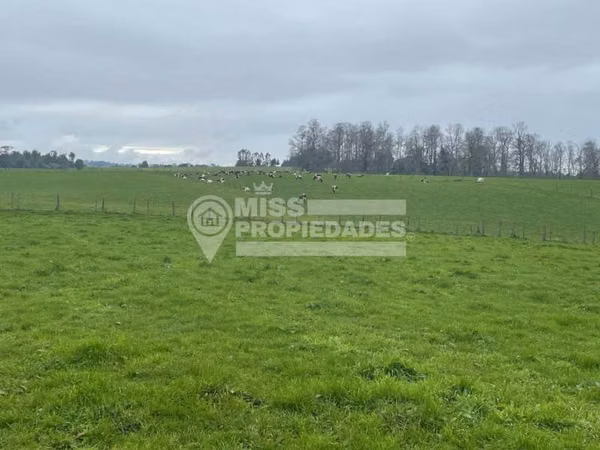 VENDE PARCELA - PUERTO VARAS, REGION DE LOS LAGOS