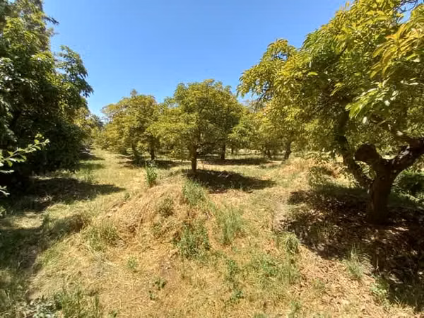 Terreno Olmué, Valparaíso