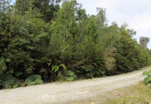 Parcela 1 Há Chonchi Parque Tepuhueico