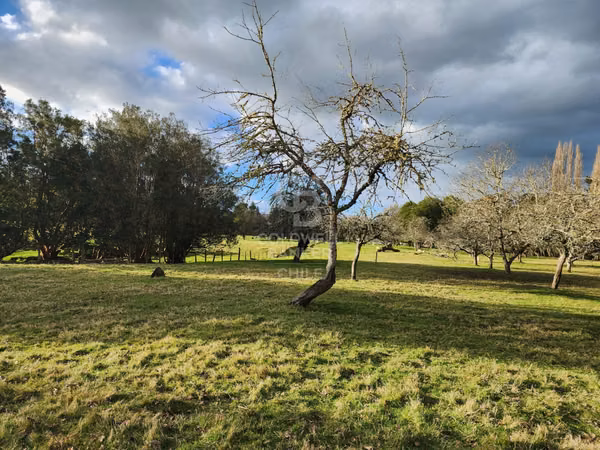 Cabaña con bosque nativo y acceso a río I Puerto Varas