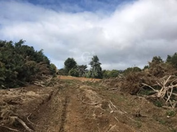 Paño 4,67 hectáreas en venta en Ancud