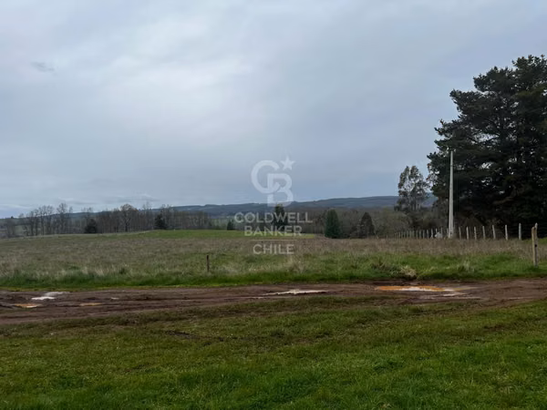 Predio de 21,5 hectáreas con potencial inmobiliario Osorno