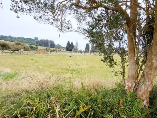 Parcela en Frutillar: Naturaleza y Conectividad