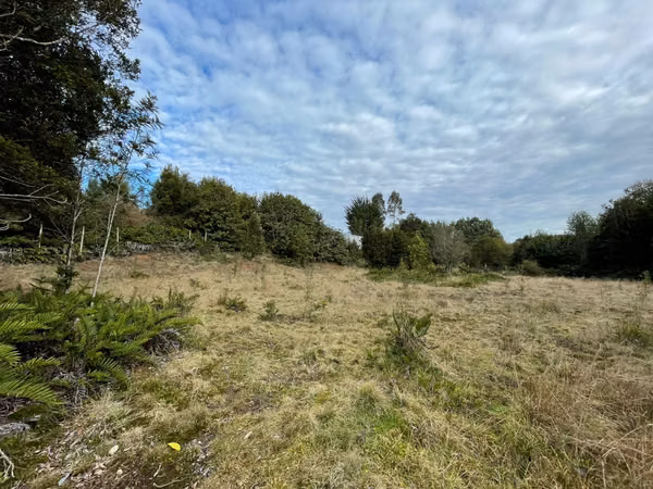 Parcela 5.750 m² con Bosque Nativo, Cerca de Puerto Varas