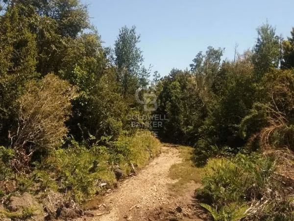 Parcela de 5000 m² camino Ensenada