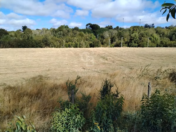 Parcela a orilla de camino en Totoral !