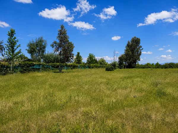 PARCELA 8500 MTS² RAUQUÉN , DENTRO DE LA CIUDAD.