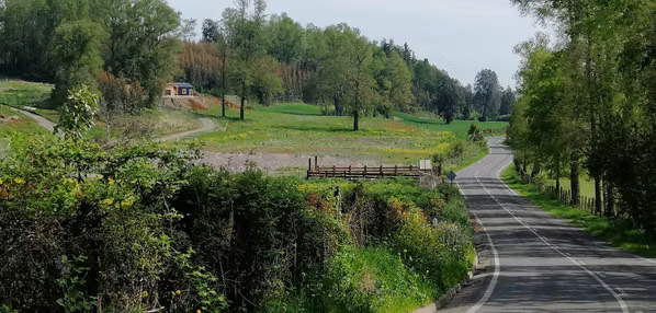 Oportunidad, macroparcela de 8,1 Hectáreas Lago Ranco