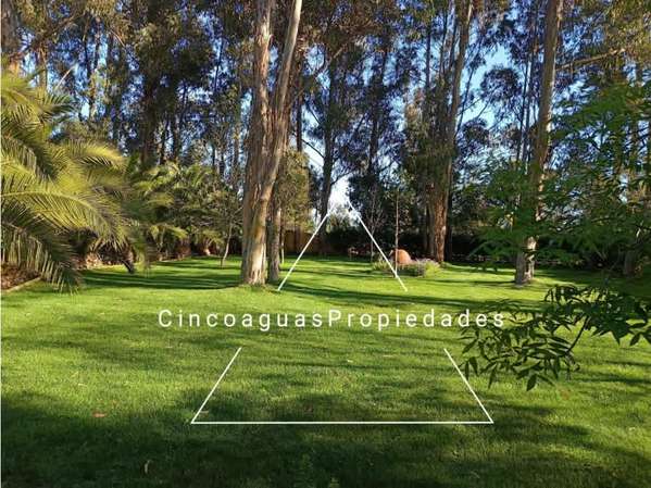Casa en parcela con hermoso jardín en Foresta de Zapallar
