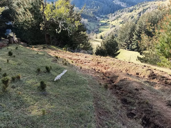 Se Vende Campo de 33 Hectáreas
