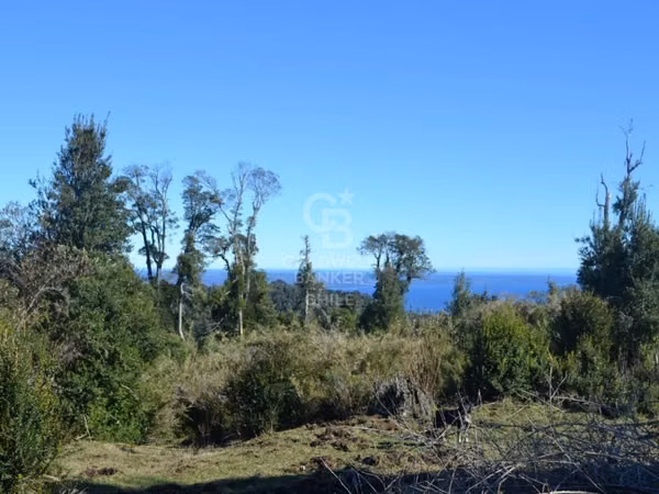 Parcela Ecológica con Vistas y Fauna Única en Ñilque