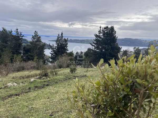 Campo  con hermosa vista al Lago Ranco.