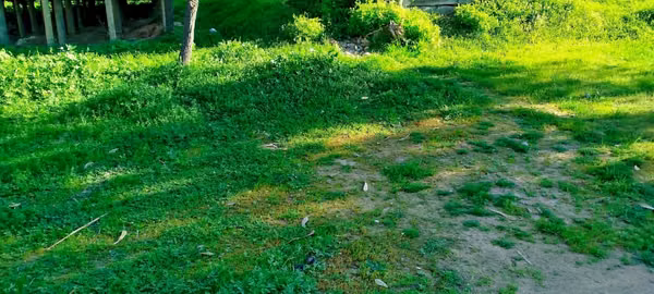 Terreno El Estero, Lago Rapel