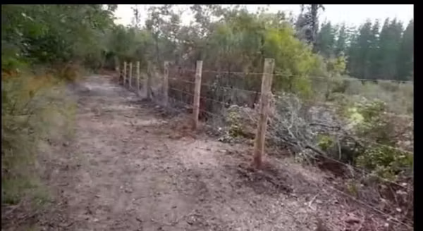 Hermosa parcela en Libueno, Pelarco