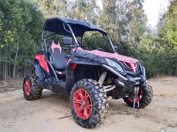 BUGGY