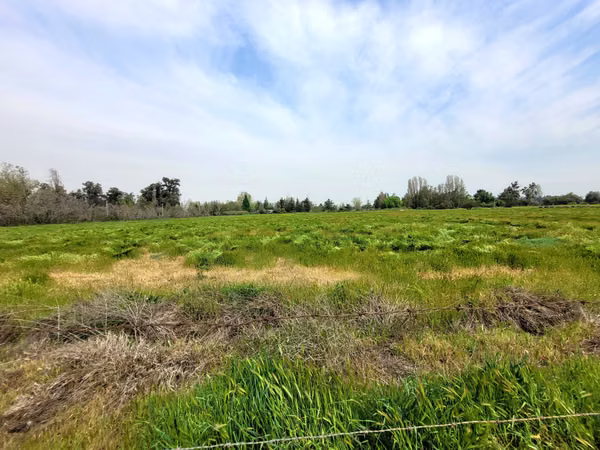 Terreno Urbano – Camino San José, Chicureo  (118674)