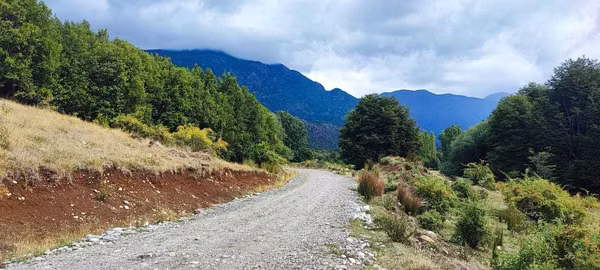 Terreno de 5.000 m2 a 64km. de Futaleufú (114289)