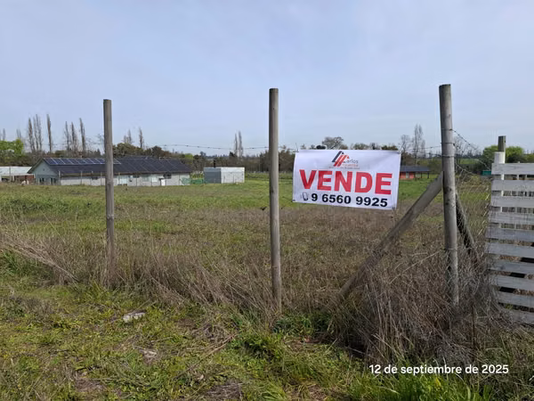 EN VENTA HERMOSA PARCELA EN COIHUECO, SECTOR LAS PATAGUAS