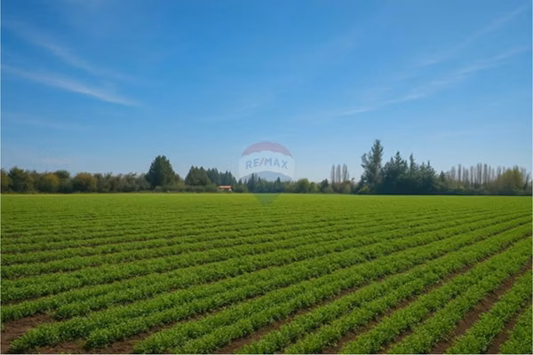 Chicureo: 8,3ha con proyecto sag para 16 parcelas
