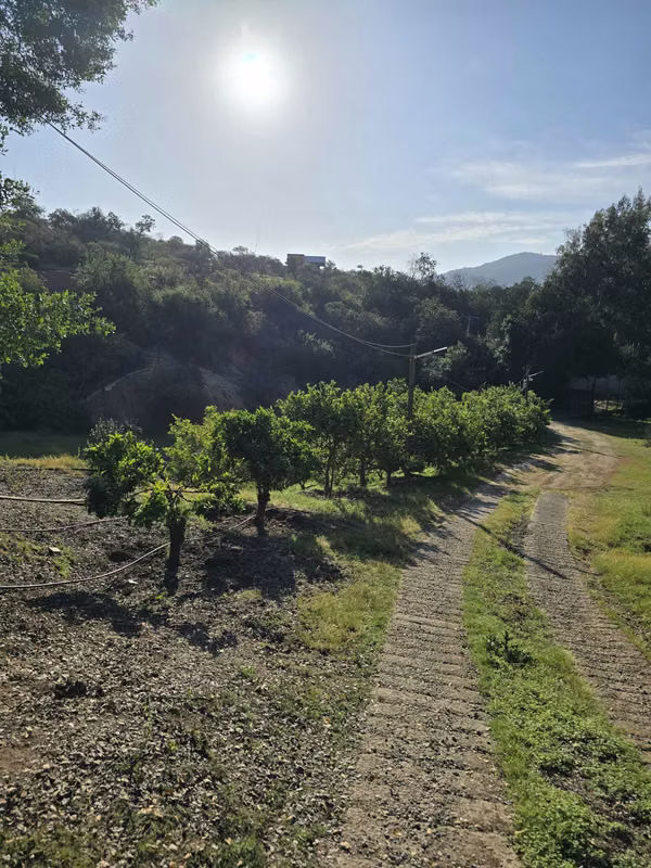 Se venden derechos de parcela en el sector Los Coligues