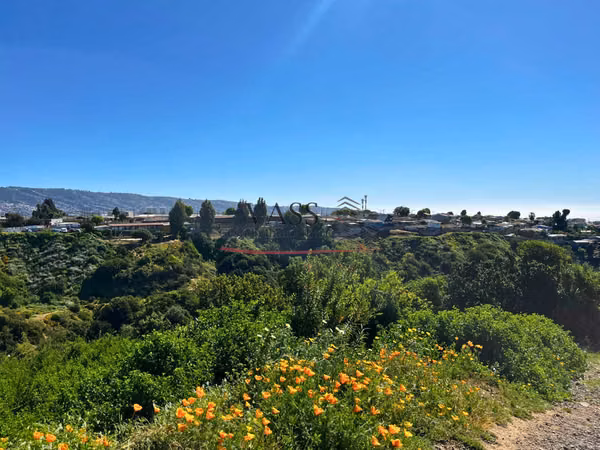 VASS vende terreno de 2.585 m² en Agua Santa, Viña del Mar