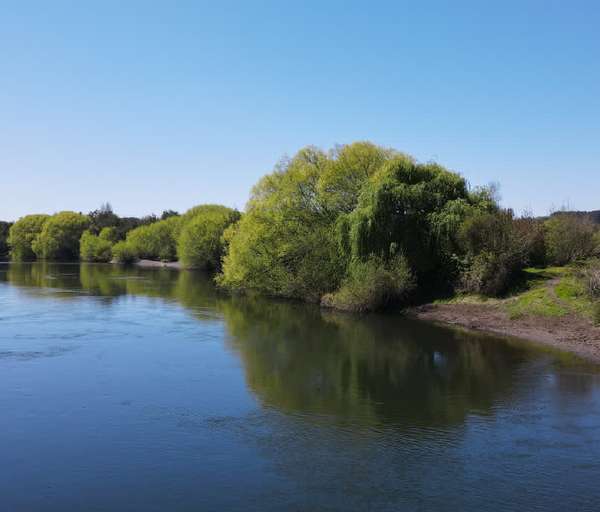 Raices del Rio Rahue