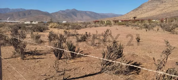 Vendo terreno 9600m2. agro industrial plano