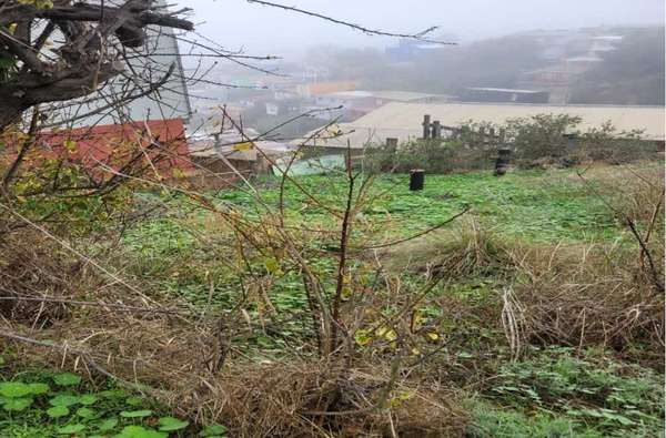 OPORTUNIDAD TERRENO EN CERRO LOS PLACERES